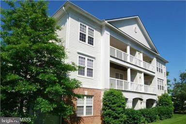 22706 Blue Elder Terrace - Photo 1