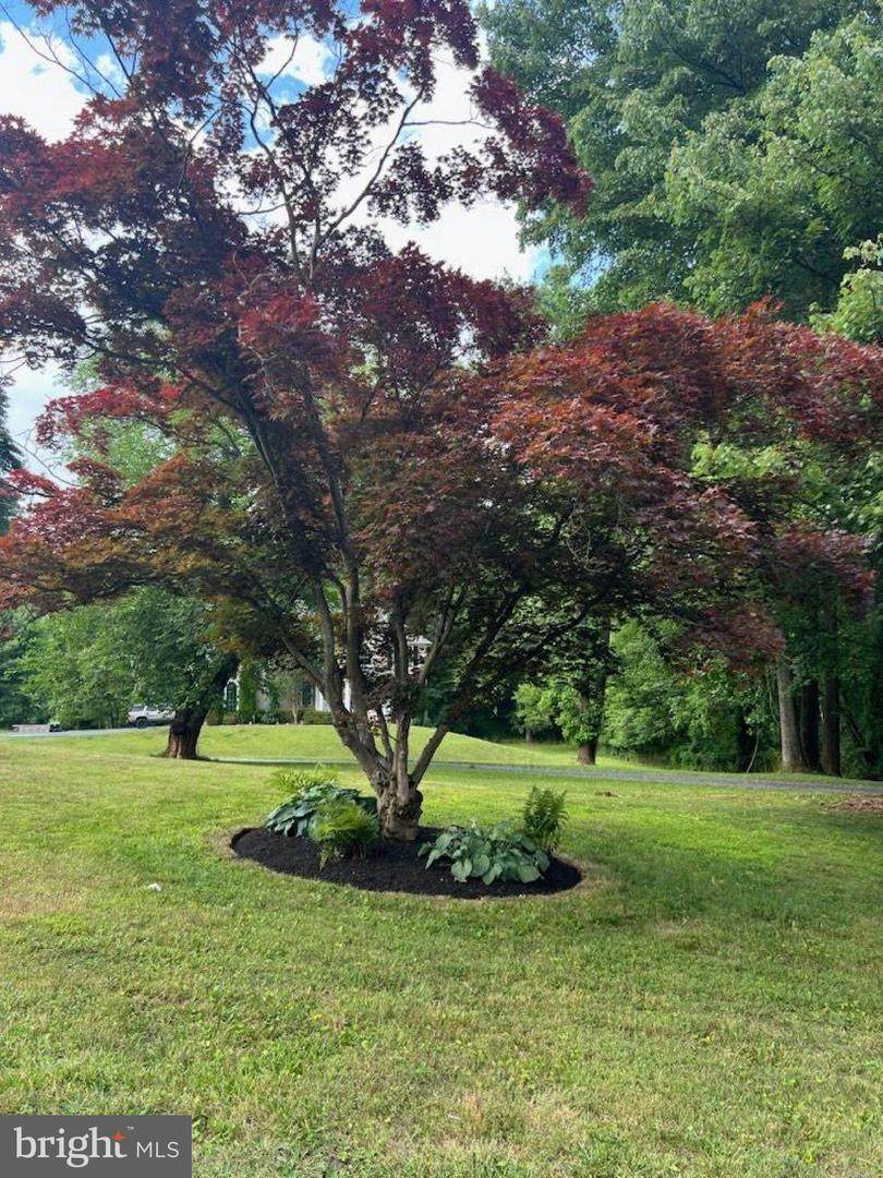 7542 Coddle Harbor Lane - Photo 1