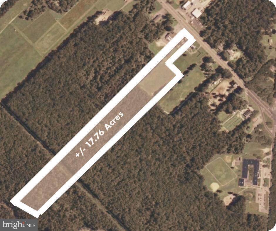 2393 Black Horse Pk - Photo 1