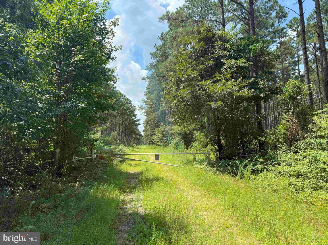  N Liberty Spring Rd (Tract: Ches. Block 4-61-119) - Photo 1