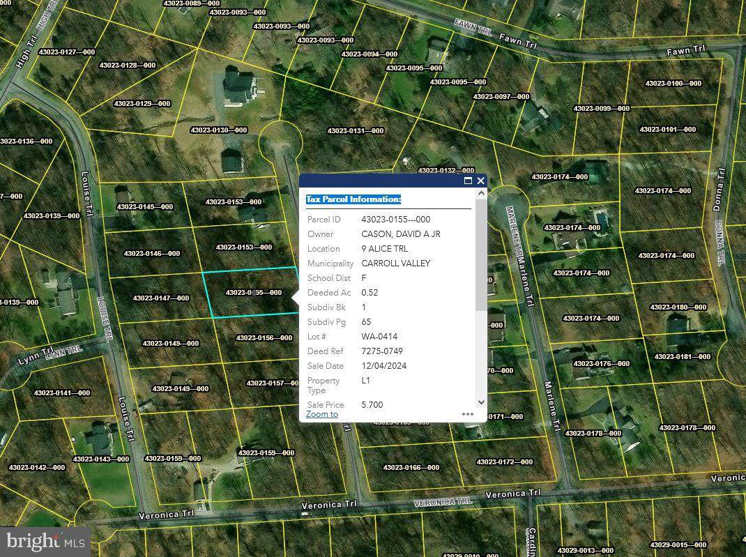 9 Alice Trail - Photo 1