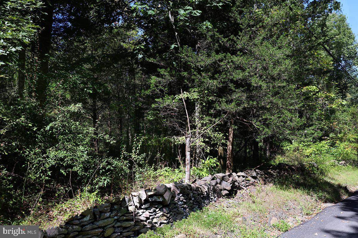81 Upper Creek - Photo 1