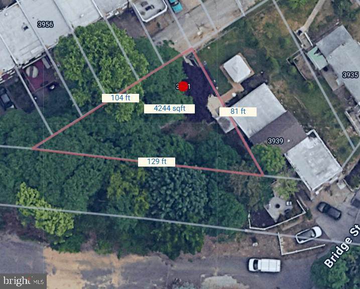 3941 Bridge Street - Photo 1