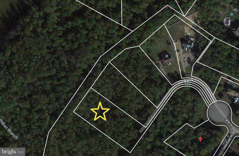 16300 Egret Place - Photo 1