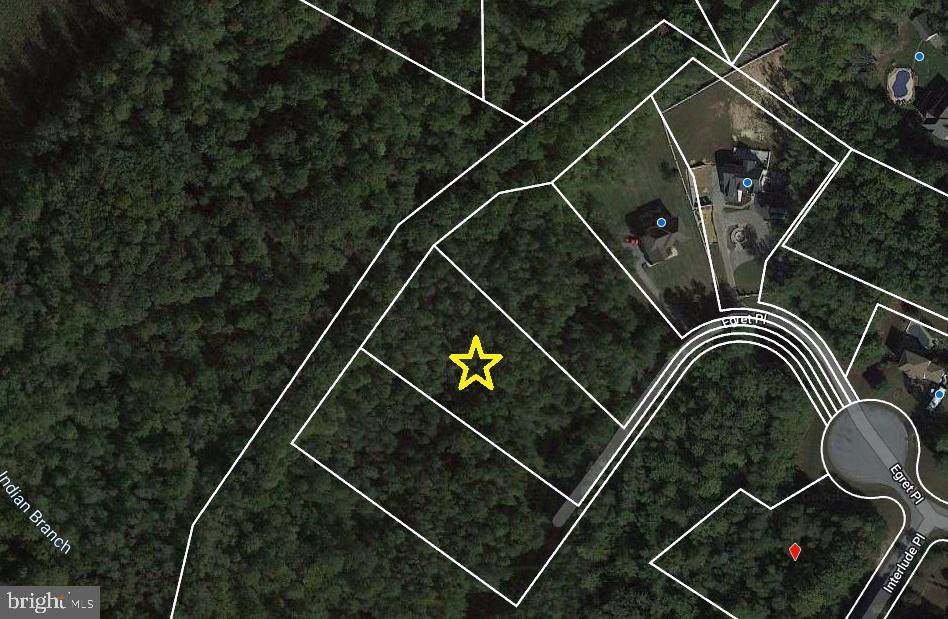 16310 Egret Place - Photo 1