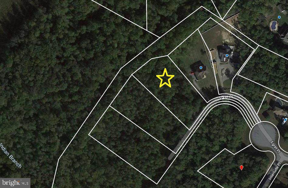 16320 Egret Place - Photo 1