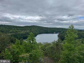 415 Cannon Way - Photo 1