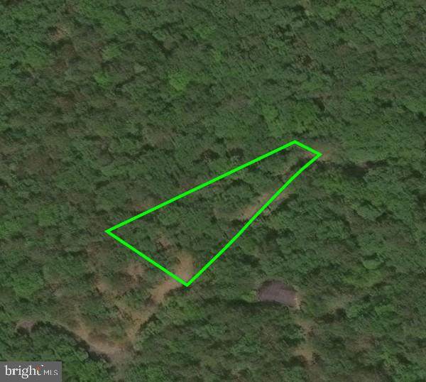 Lot 41 Nicklaus - Photo 1