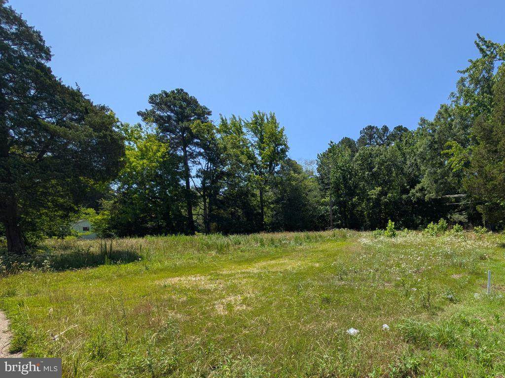 20225 Point Lookout Road - Photo 1