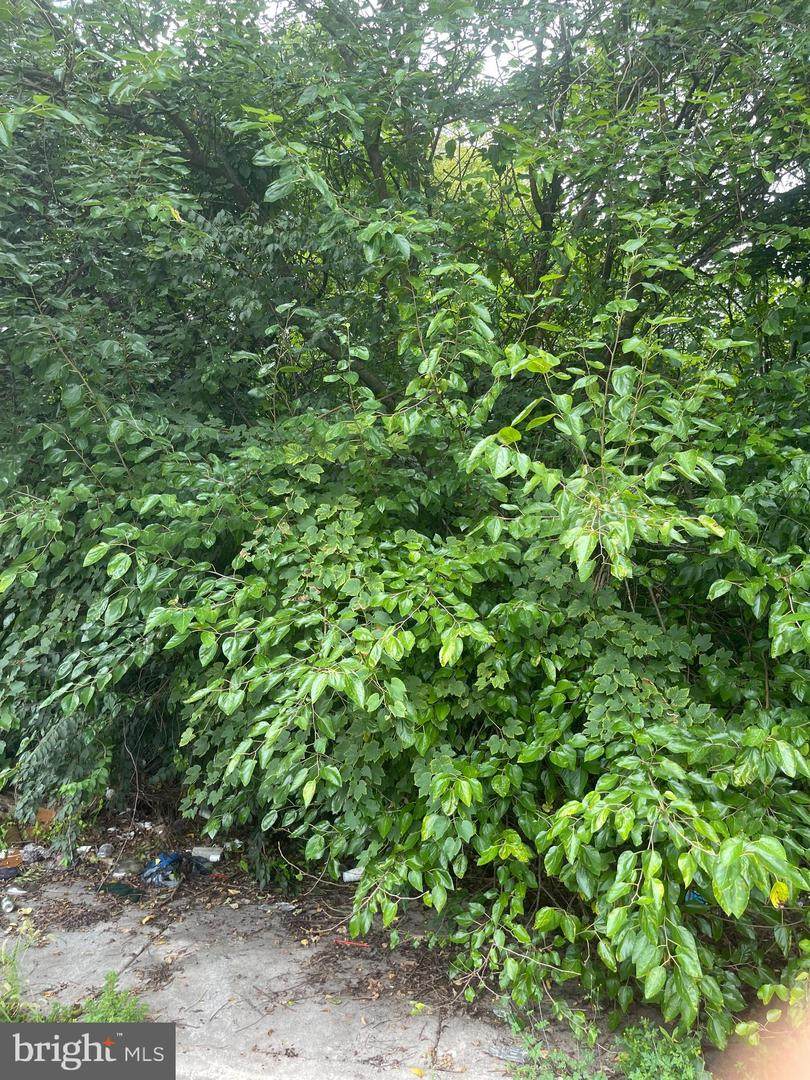 459 Price Street - Photo 1