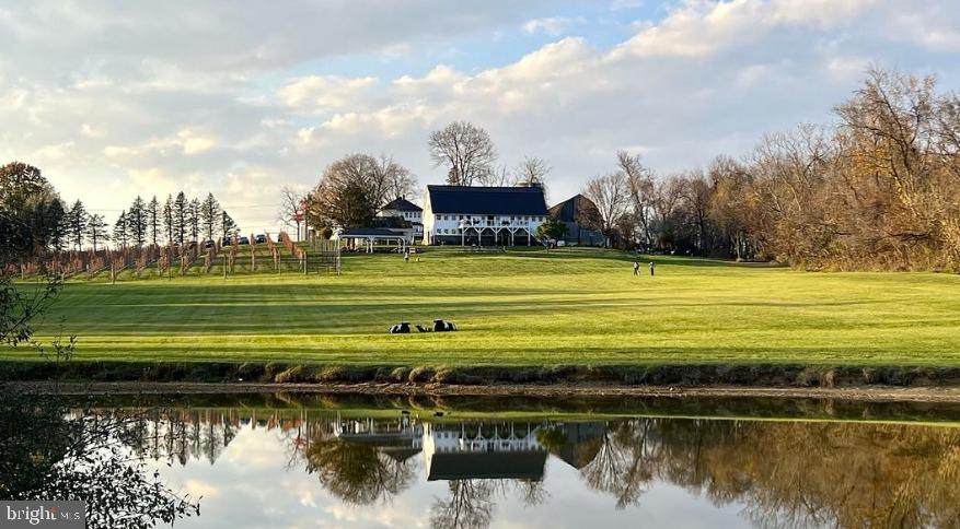 16804 Hamilton Station Road - Photo 1