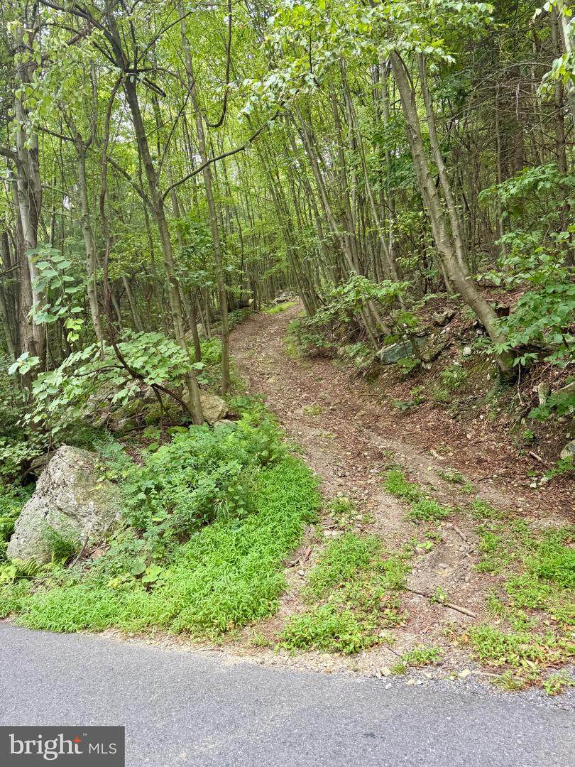  Mountain Road - Photo 1