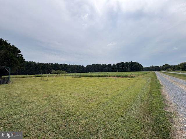 21682 Dover Bridge Road - Photo 1