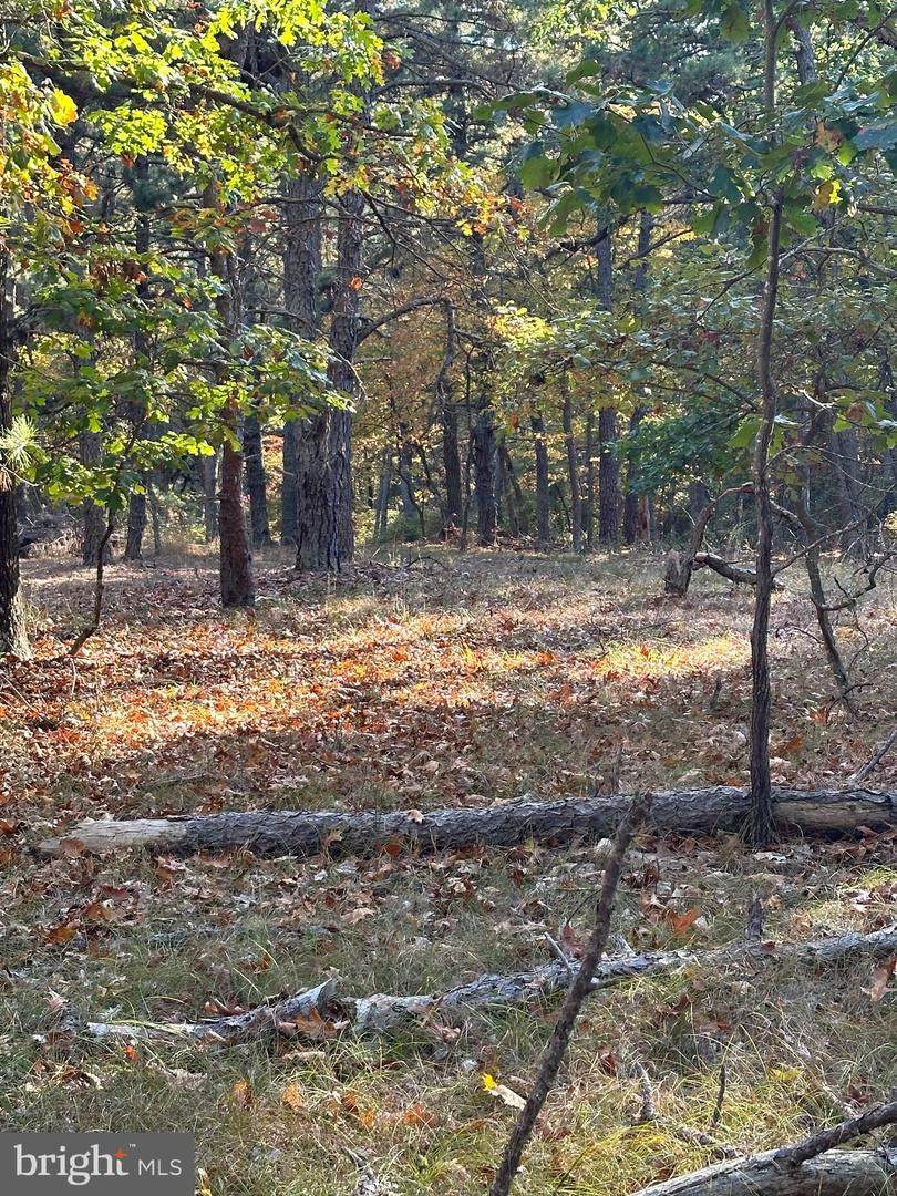 0 Black Horse Pike - Photo 1