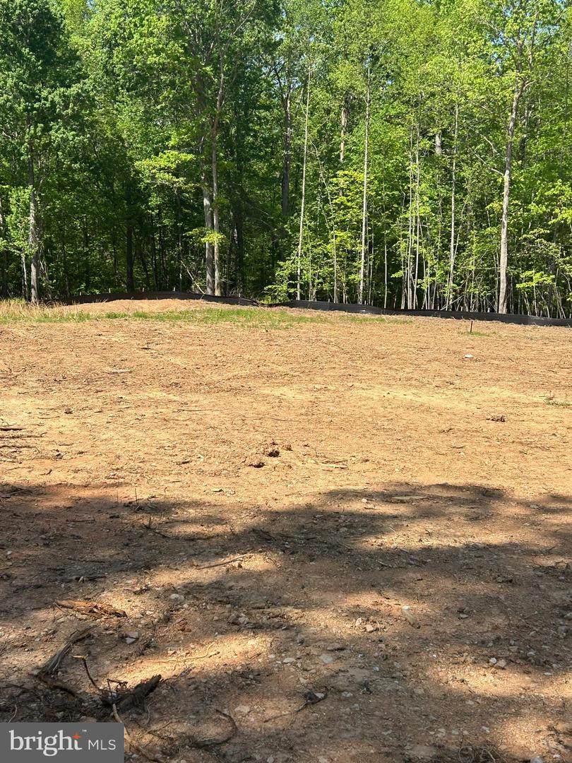  Mallorys Ford Road - Photo 1