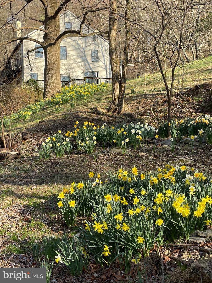 236 Piedmont Orchard Road - Photo 1