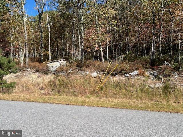 Lot 11 Chippewa Drive - Photo 1