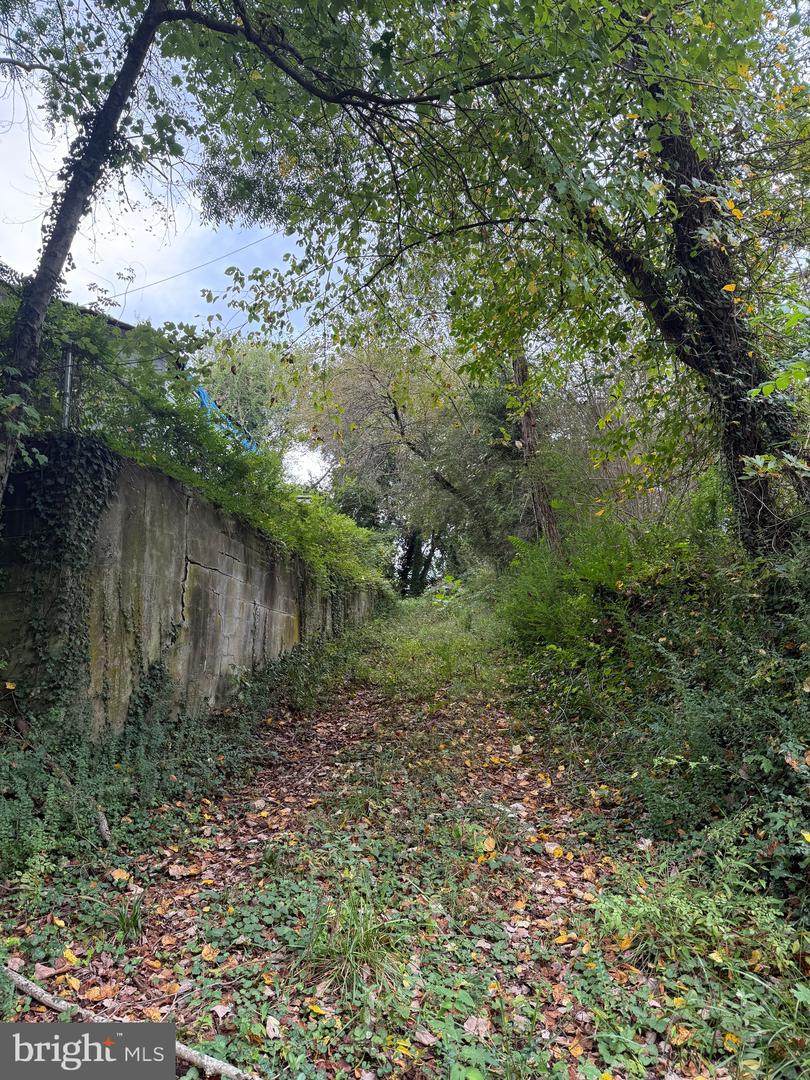 160 Chase Street - Photo 1