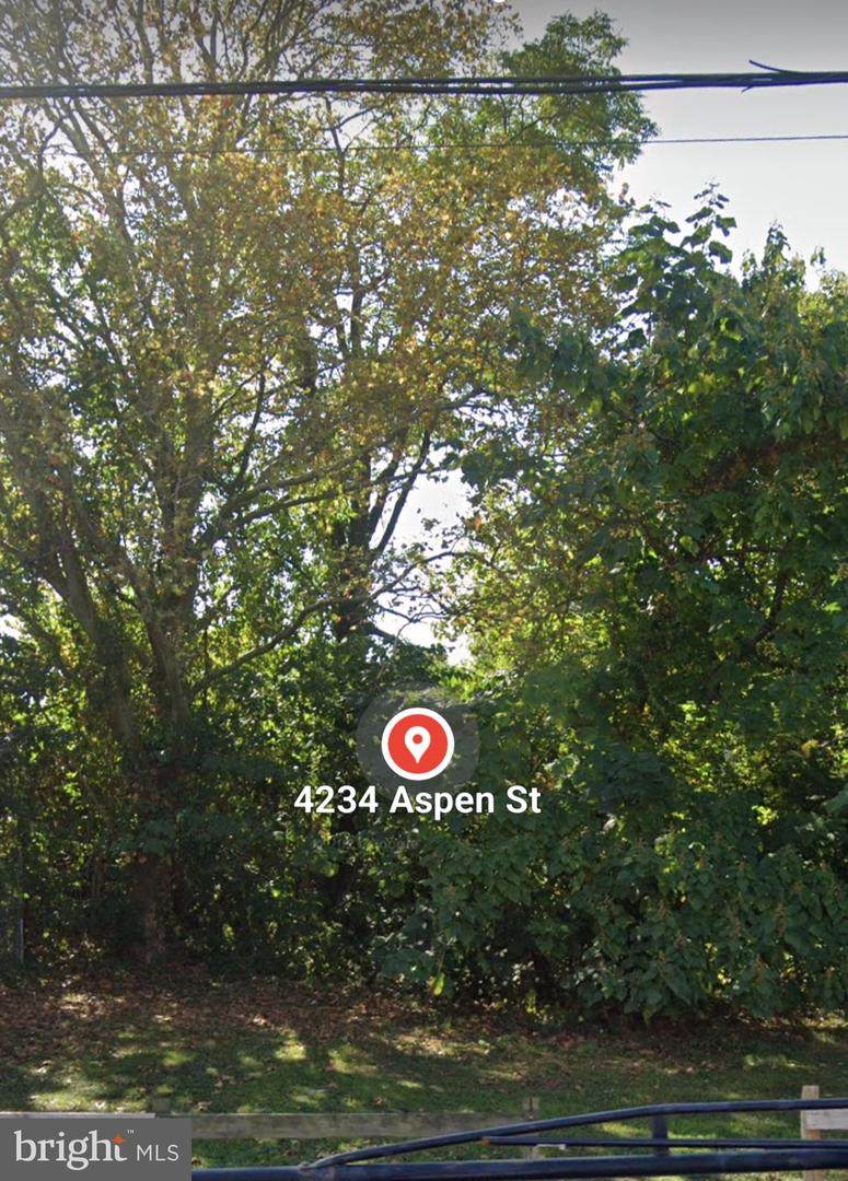 4234 Aspen Street - Photo 1