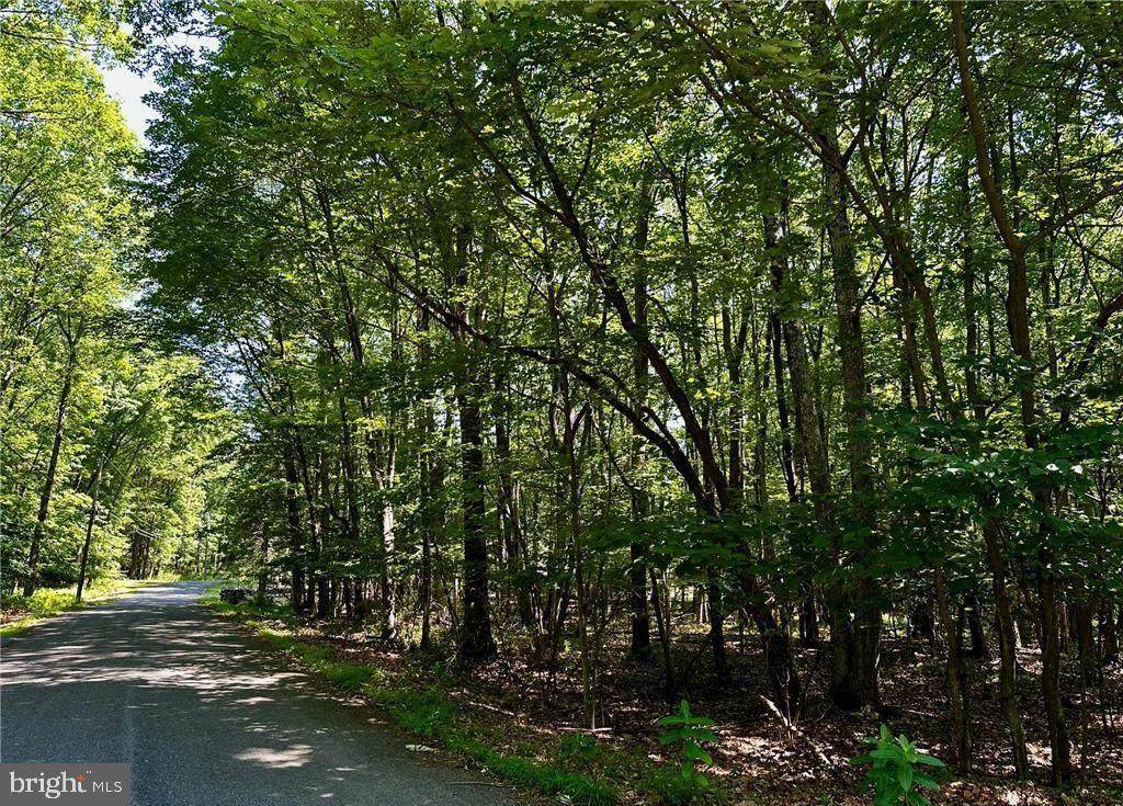 500 Sumac Court - Photo 1