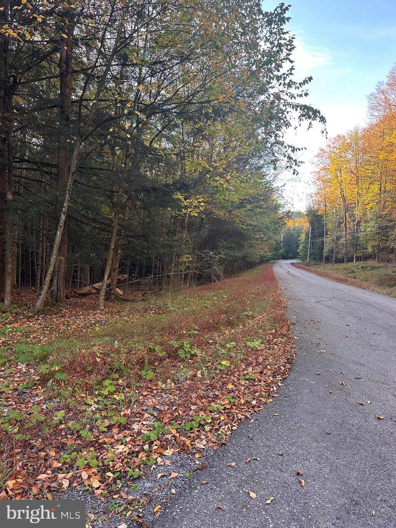 L #422 SECTION 25 Corner Of Calabash Ct And Devils Kay Ct - Photo 1