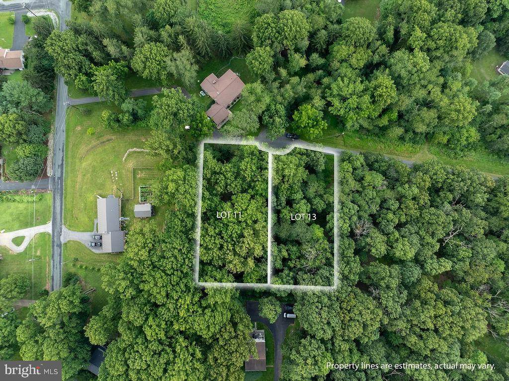 11 Mary Ann Trail - Photo 1