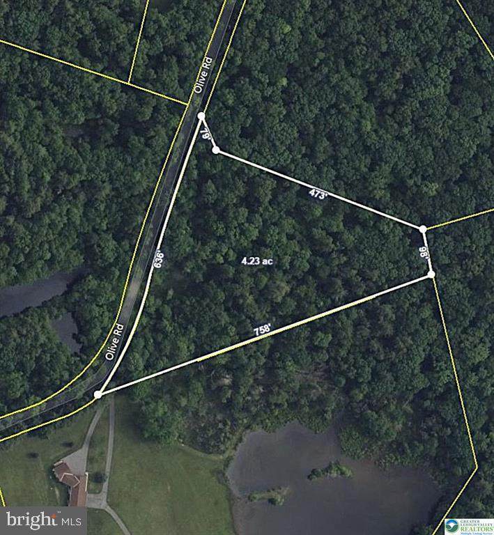 0 Olive Road - Photo 1