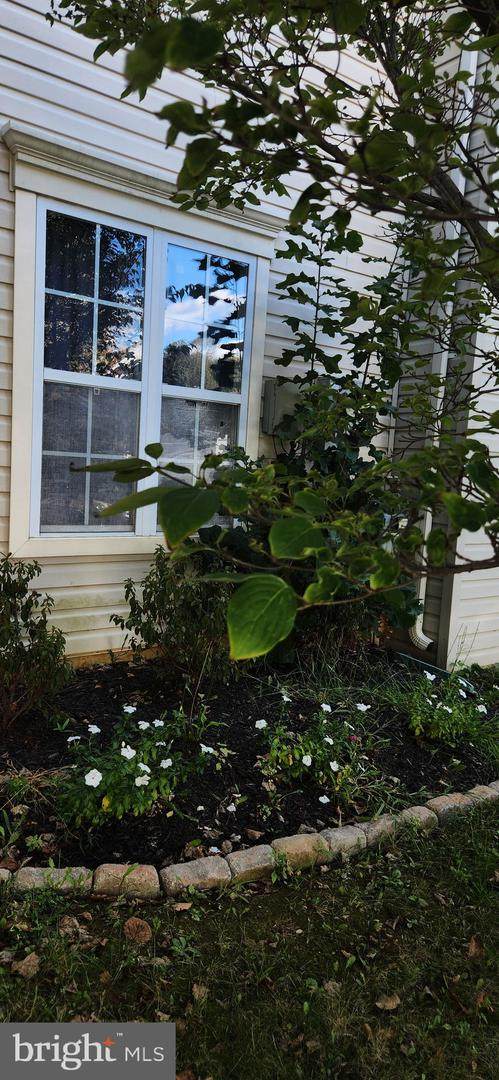 4108 Brown Bark Circle - Photo 1