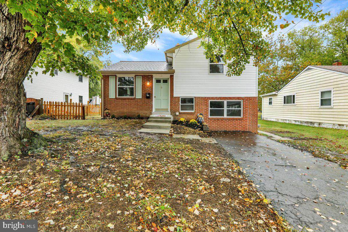 104 Pulaski Street - Photo 1