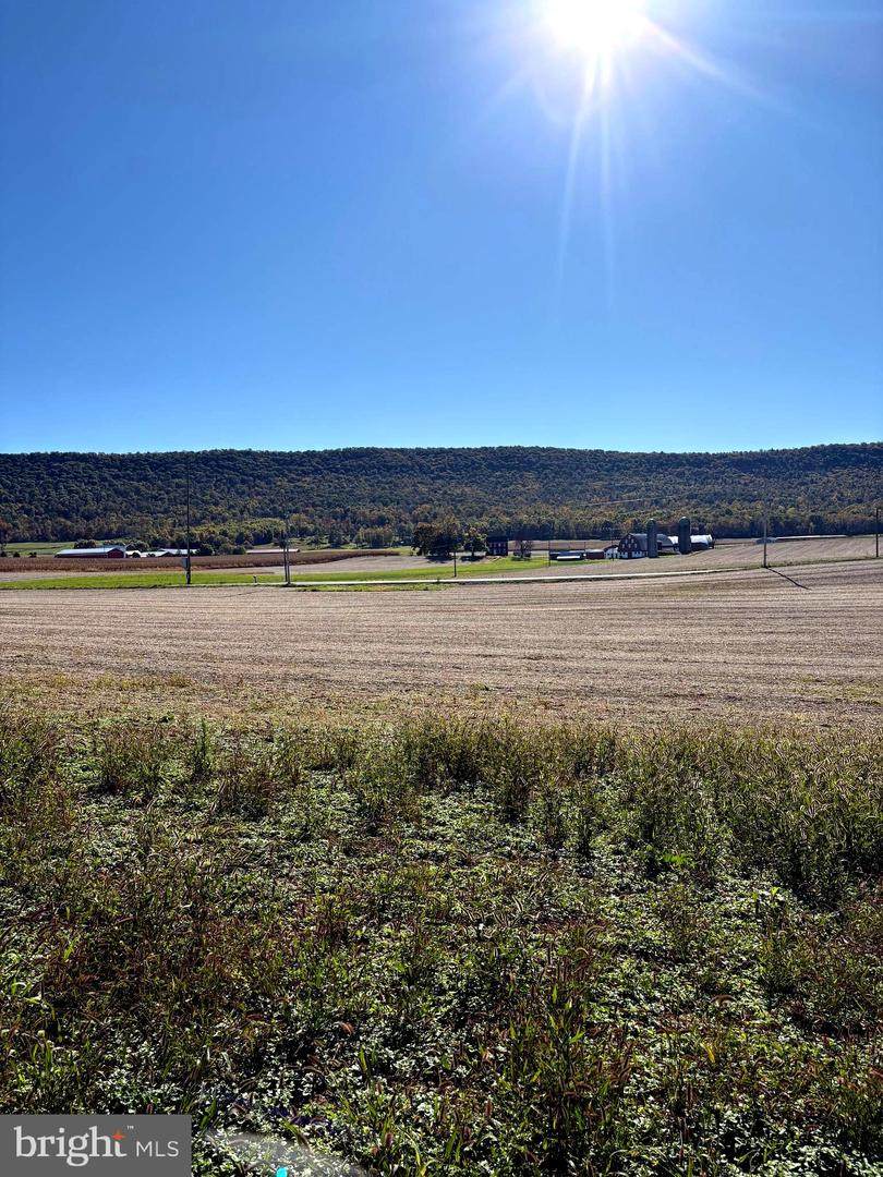 Lot 3 Zion Back Rd - Photo 1