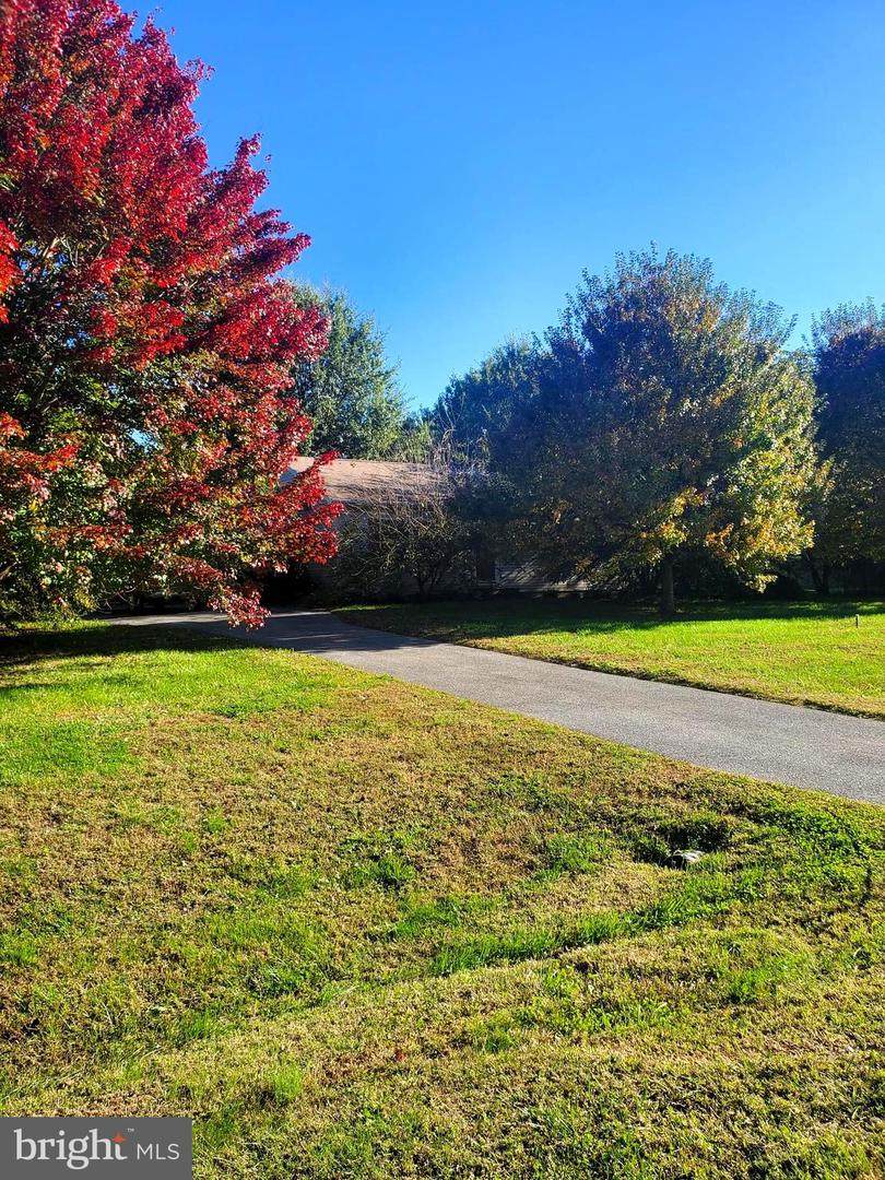 86 Whitetail Lane - Photo 1