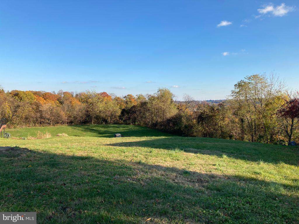 725 Chickies Drive - Photo 1