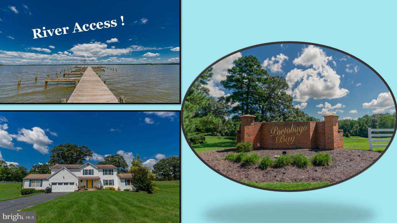 31207 Portobago Trail - Photo 1