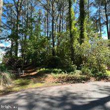 11043 Piney Island Drive - Photo 1