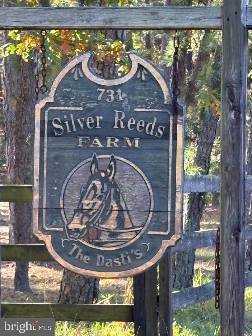 154 Maple Avenue - Photo 1