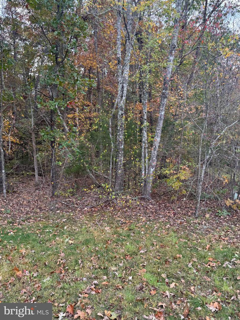 https://bt-photos.global.ssl.fastly.net/brightmls/orig_boomver_1_804267743276-2.jpg