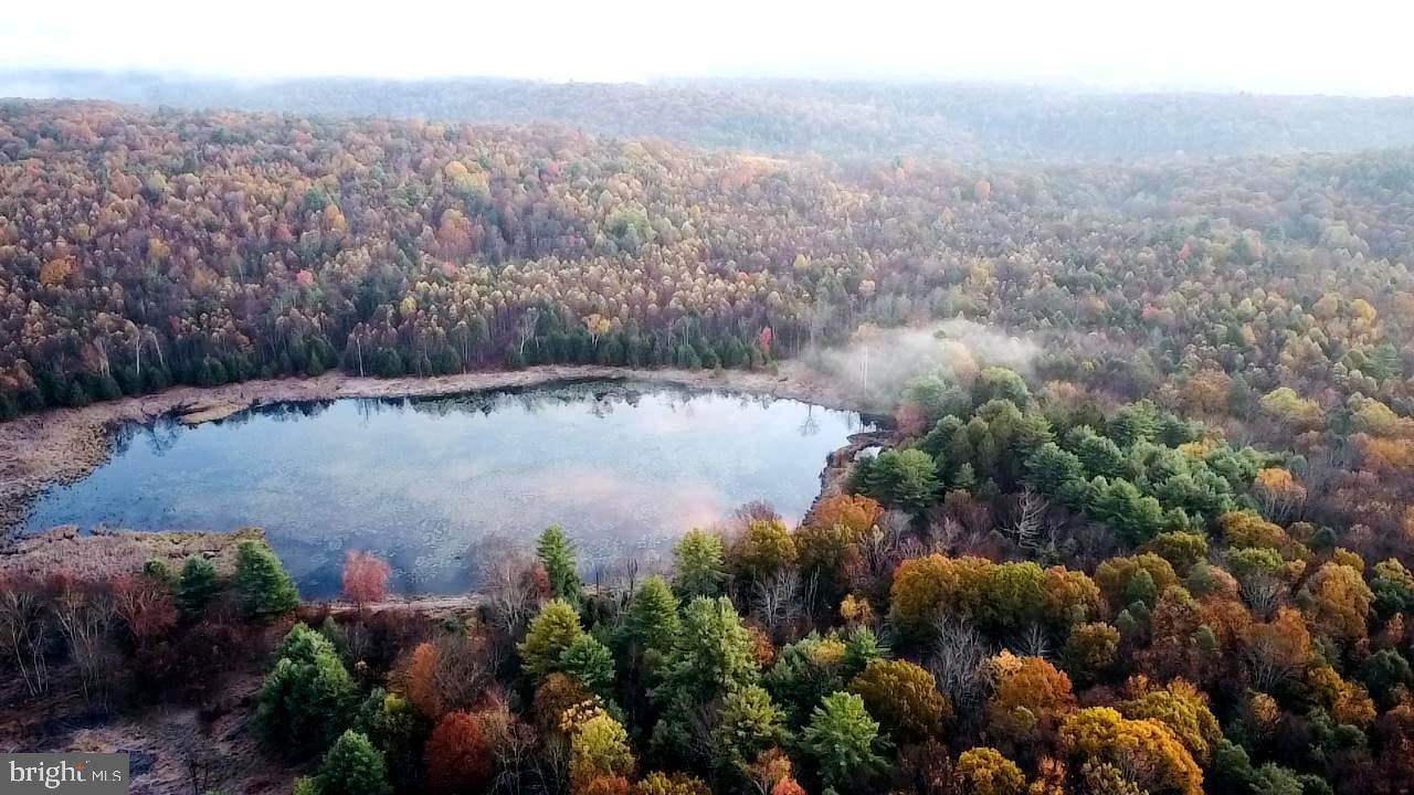 0 Bethel Hill Road - Photo 1