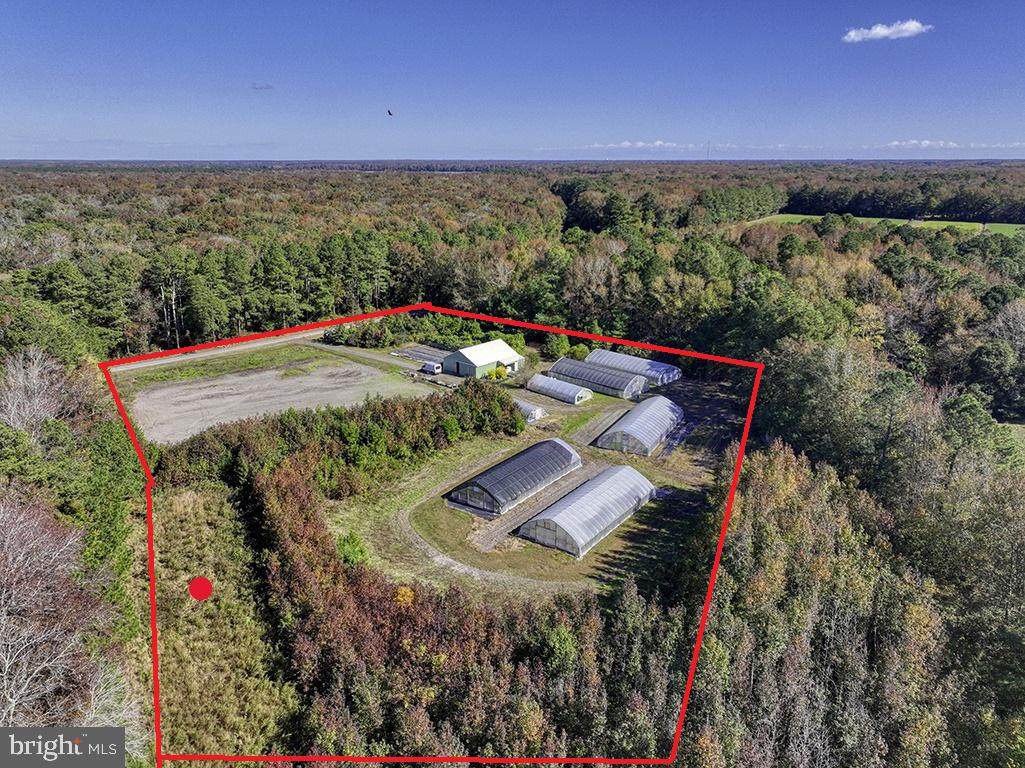 30402 Jay Patch Road - Photo 1