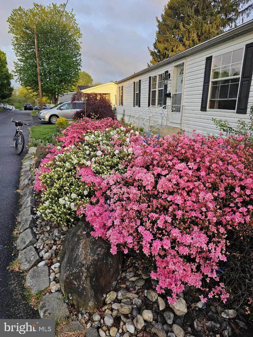 2304 Brownsville Road - Photo 1