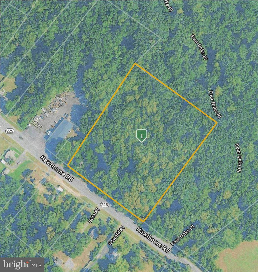 4450 Hawthorne Road - Photo 1