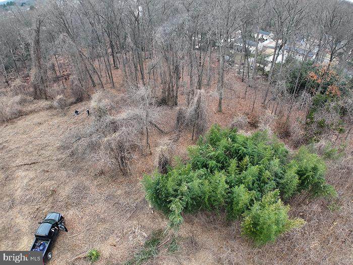 8703 Pamper Lane - Photo 1
