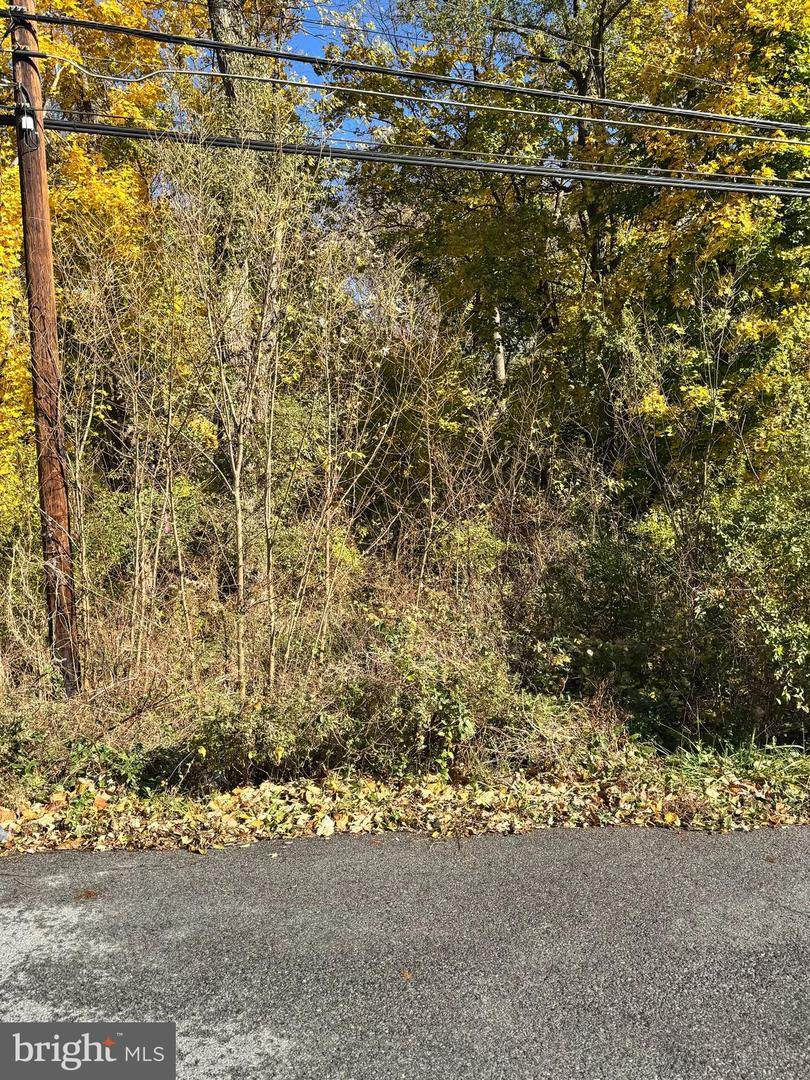  Lot 75 Rothwell Avenue - Photo 1