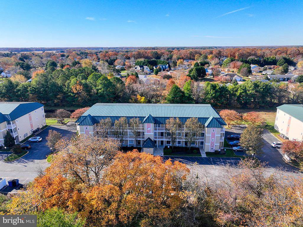 34313 Summerlyn Drive - Photo 1