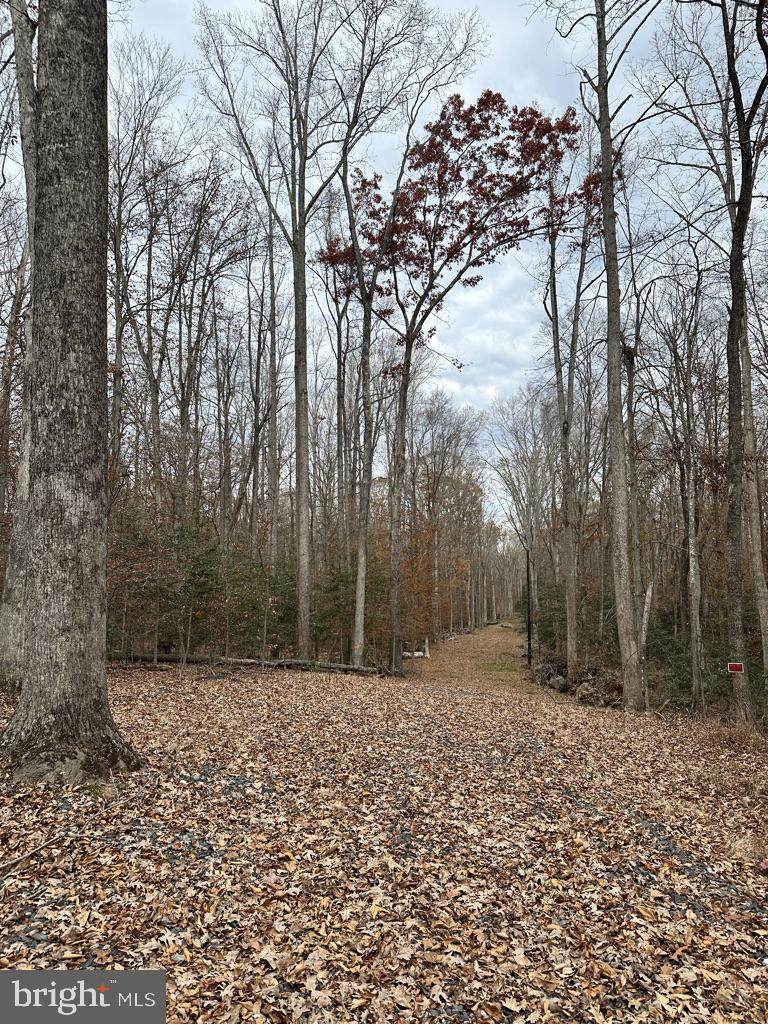 14409 Spotswood Furnace Road - Photo 1
