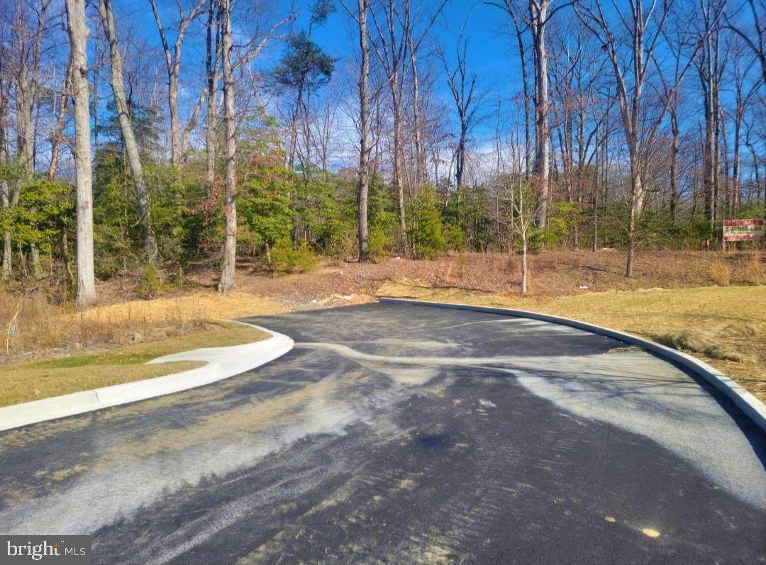 Millstone Landing Road - Photo 1