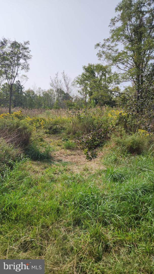 0 Riley Roberts Road - Photo 1