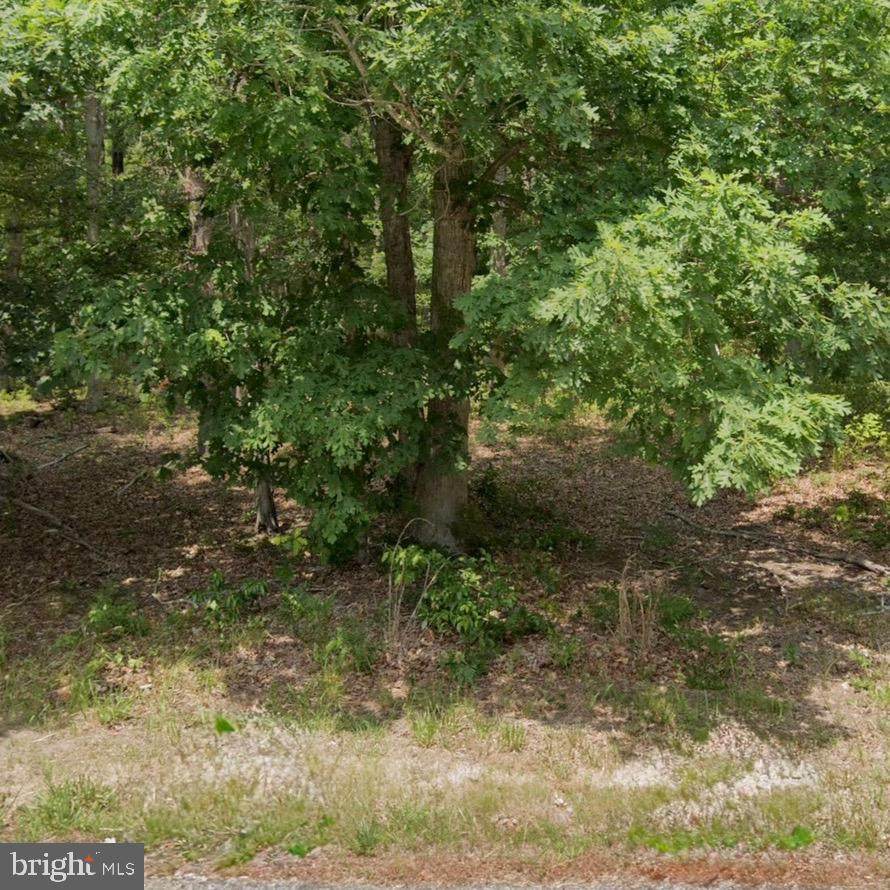 3301 Dutch Mill Road - Photo 1