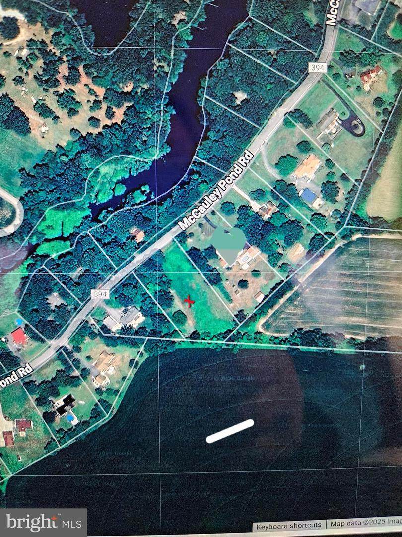 Lot 8 Mccauley Pond Road - Photo 1