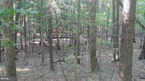  Calypso Trail - Photo 1