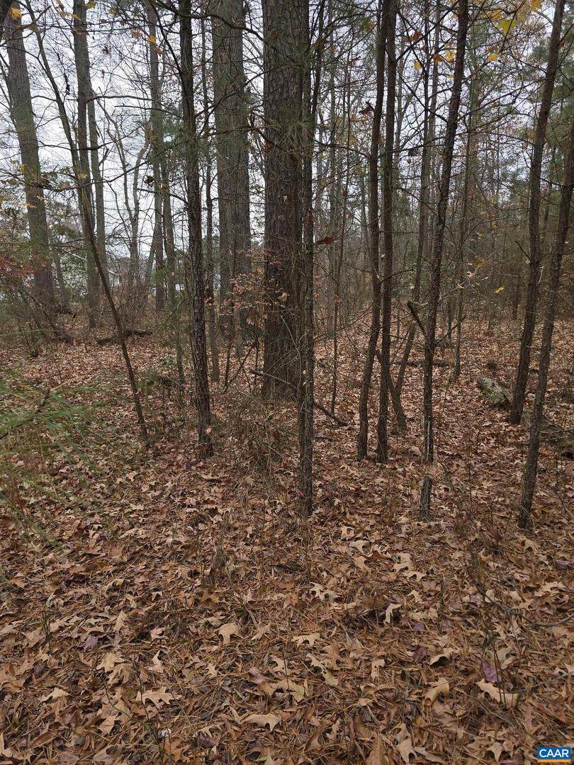 19 Evergreen Dr - Photo 1